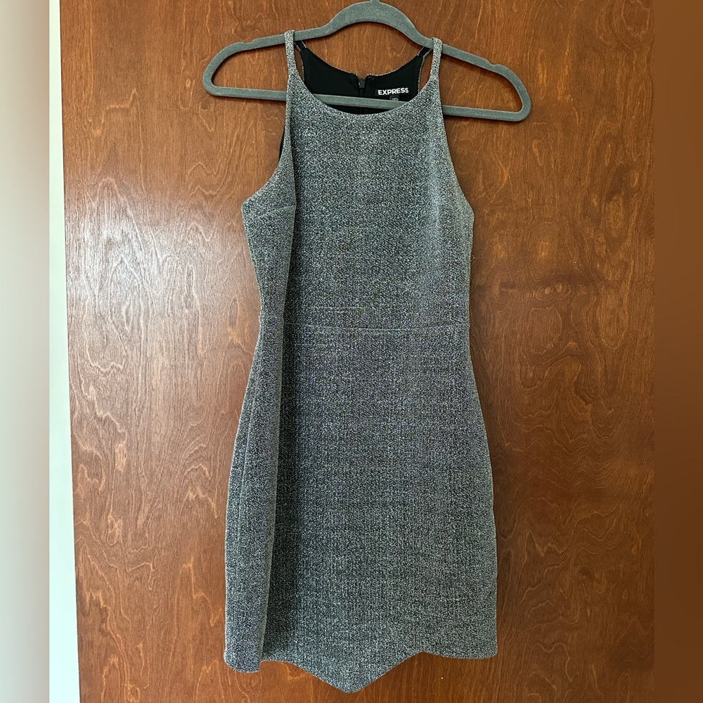 Express Sparkle Dress